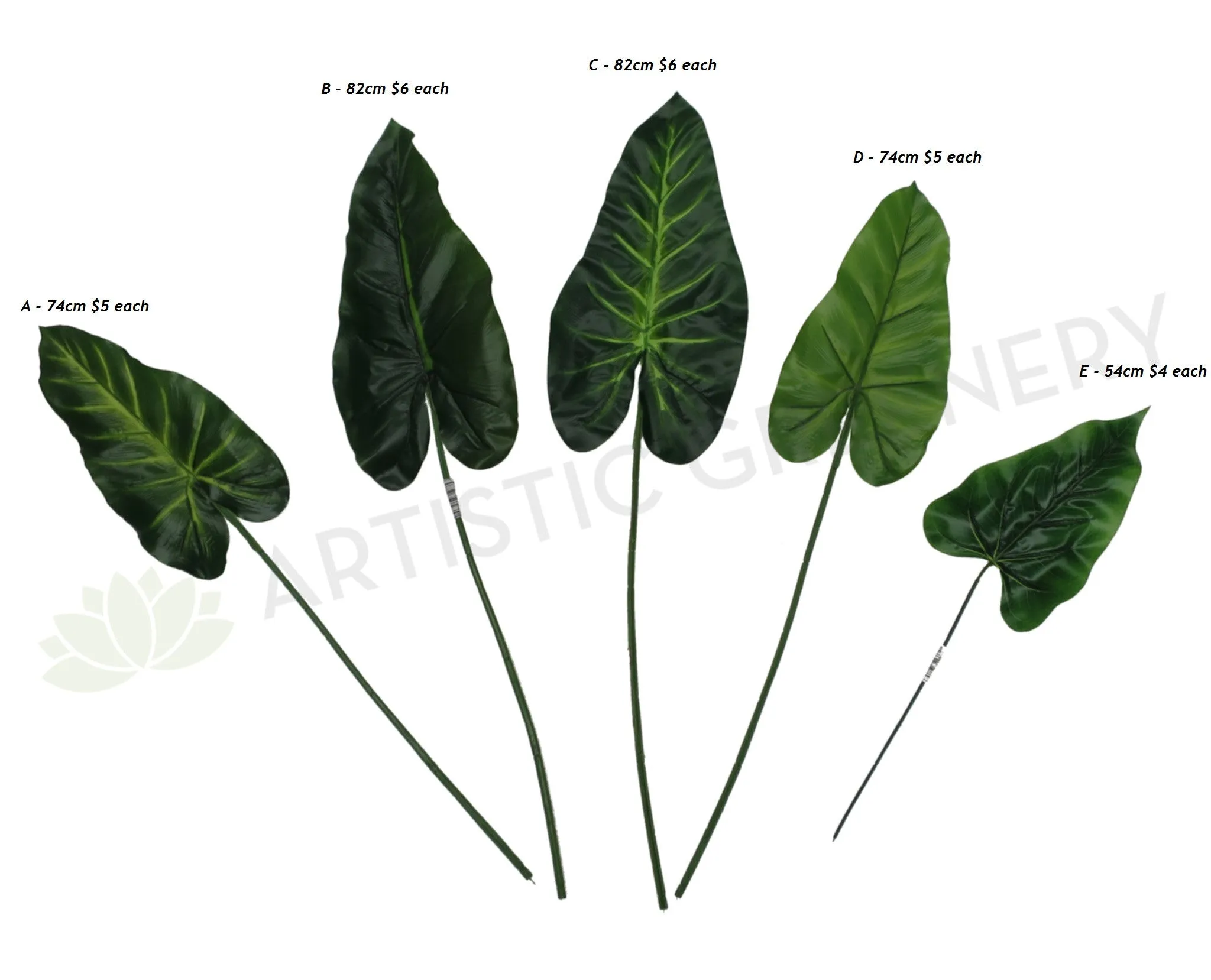 LEA0004 Calla Lily / Elephant Ear Single Leaf dried green plant  