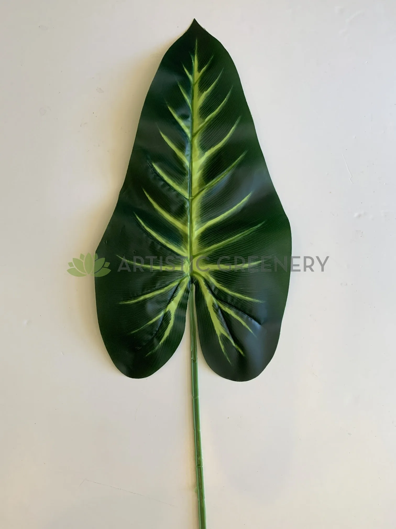 LEA0004 Calla Lily / Elephant Ear Single Leaf