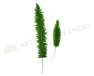 LEA0009 Sword Fern Single Leaf 2 Sizes dried green plant  