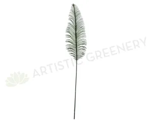 LEA0010 Silver Fern Leaf Single 55cm dried green plant  
