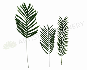 LEA0012 Arcea Palm Single Leaf  3 Sizes xl flower pot  