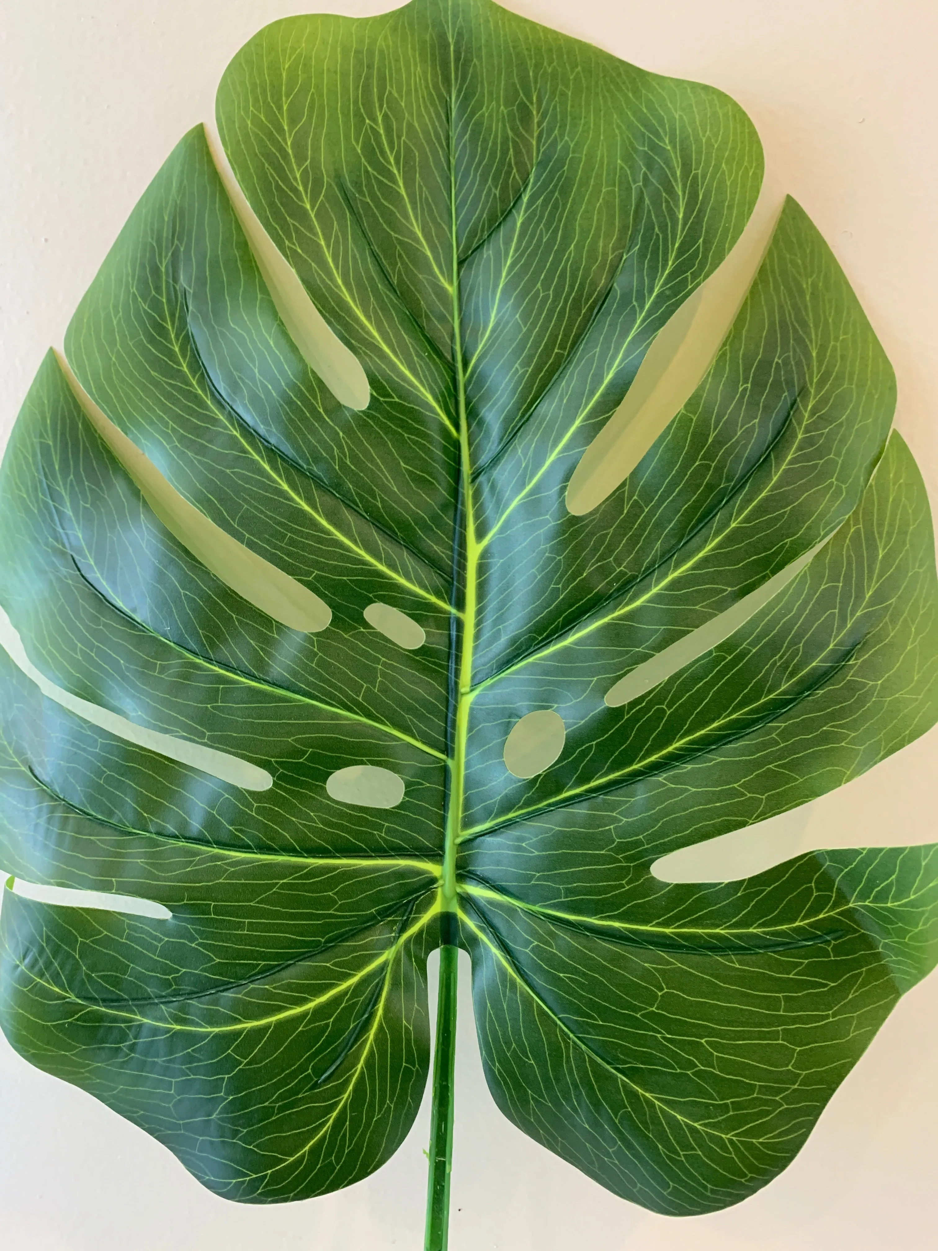 LEA0016 Split Philo / Monstera Leaf  Green 2 Sizes