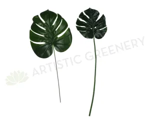 LEA0016 Split Philo / Monstera Leaf  Green 2 Sizes dried green plant  