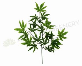LEA0021(b) Maple Leaf Spray Green xl flower pot  