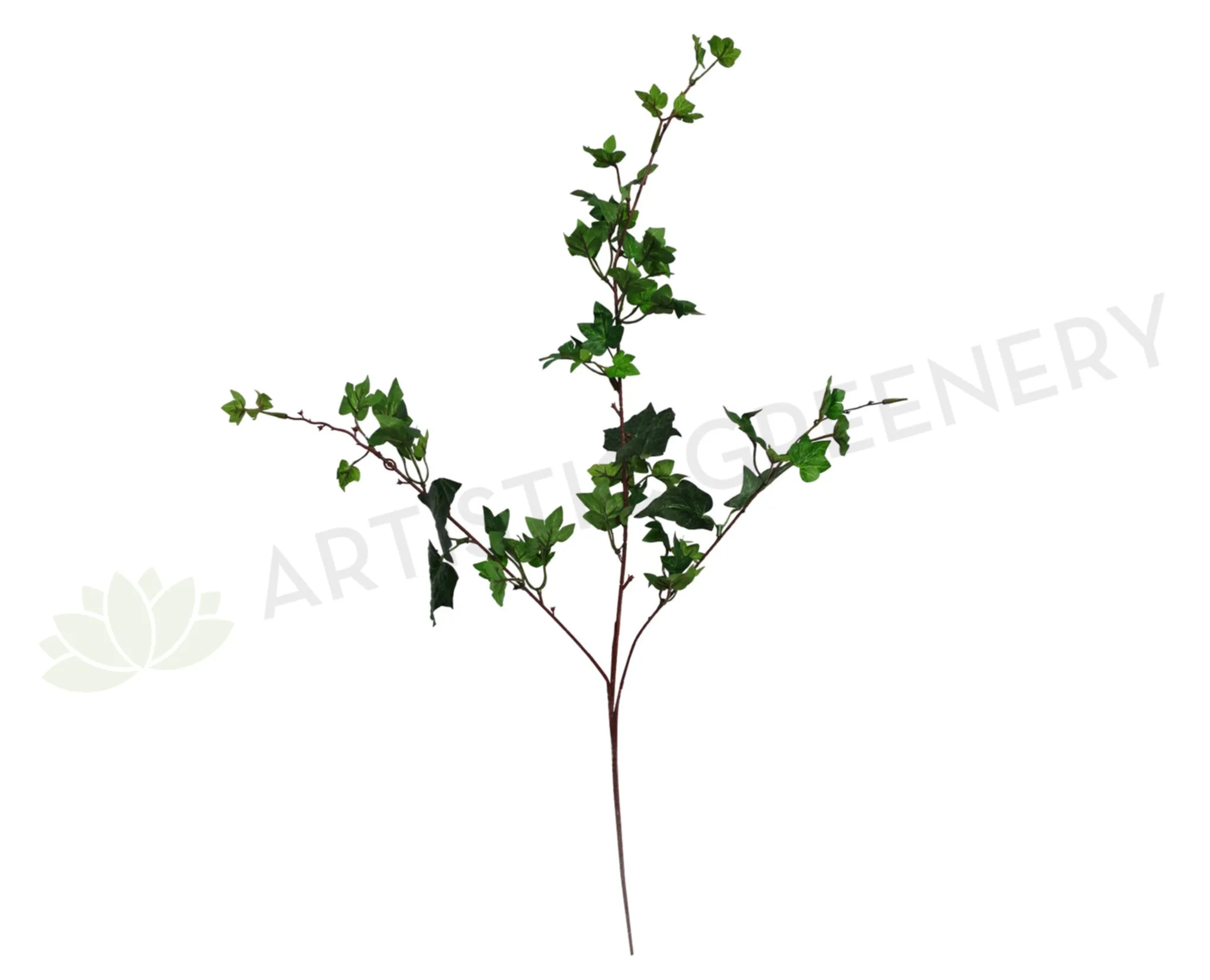 LEA0023(b) Variegated Ivy Spray 85cm dried green plant  