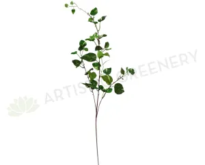 LEA0023(d) Golden Pothos Spray 85cm dried green plant  