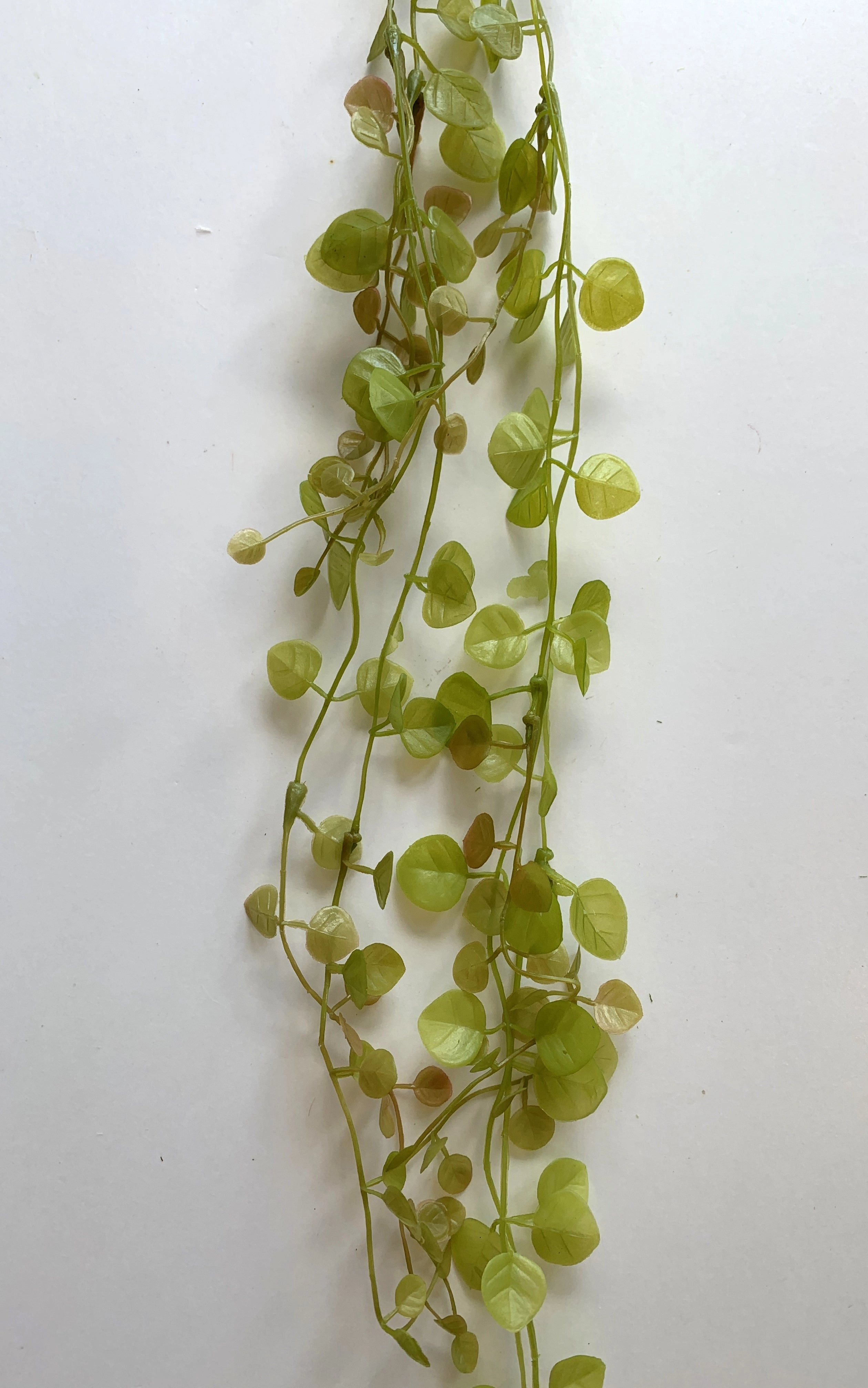 LEA0033 Creeping Greenery 75cm