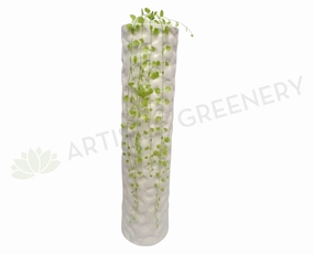LEA0033 Creeping Greenery 75cm summer vegetable seed  