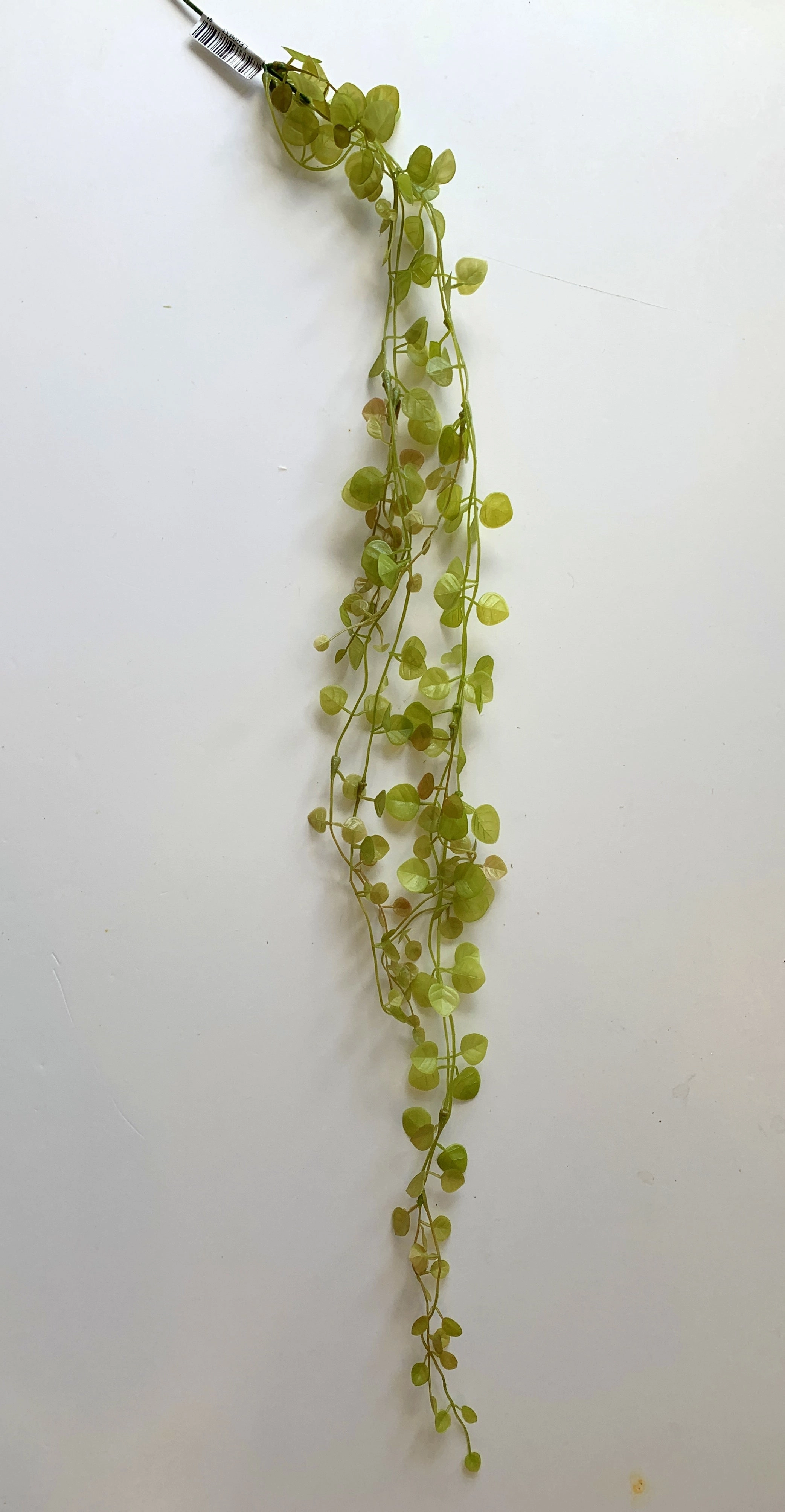 LEA0033 Creeping Greenery 75cm