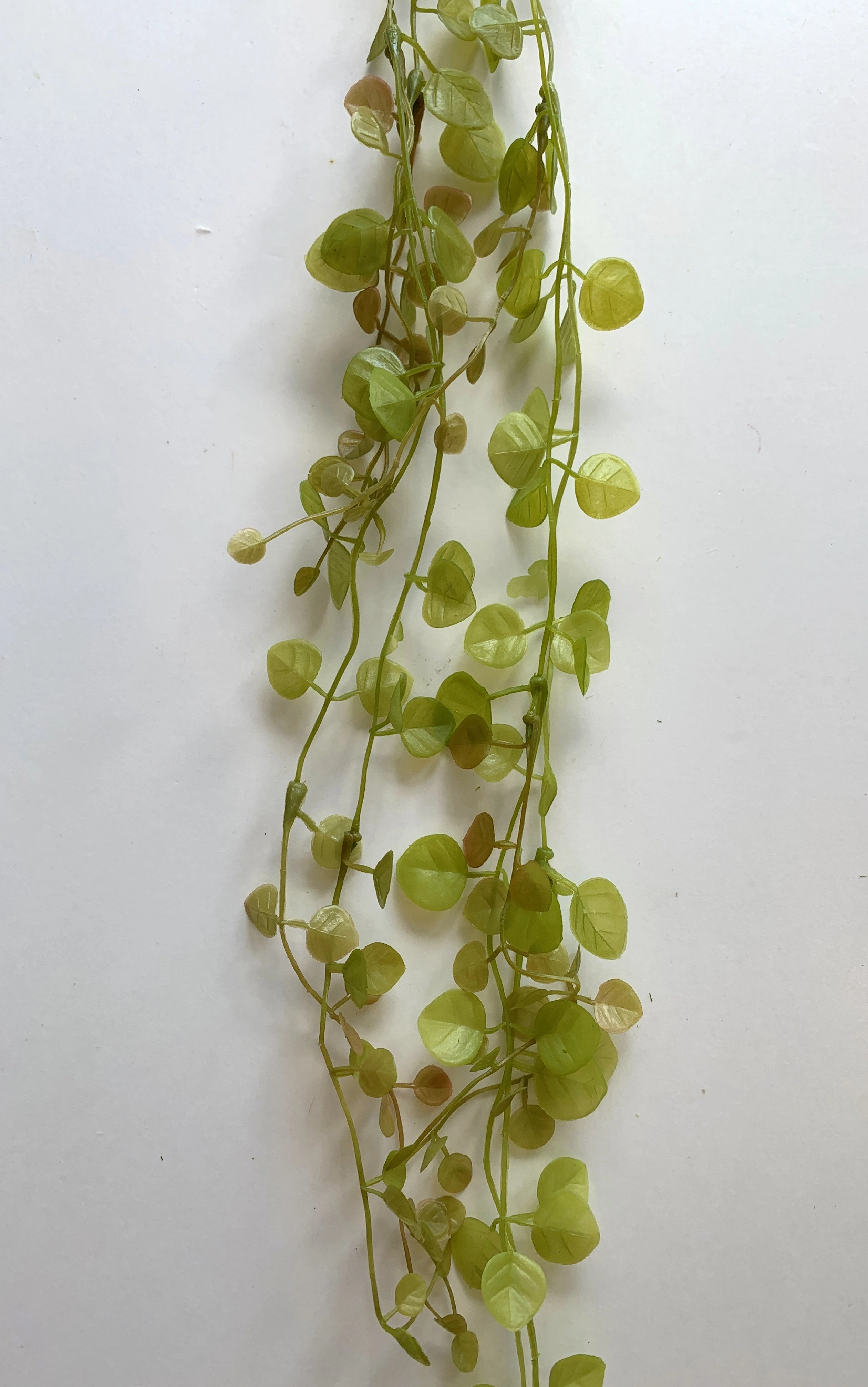 LEA0033 Creeping Greenery 75cm