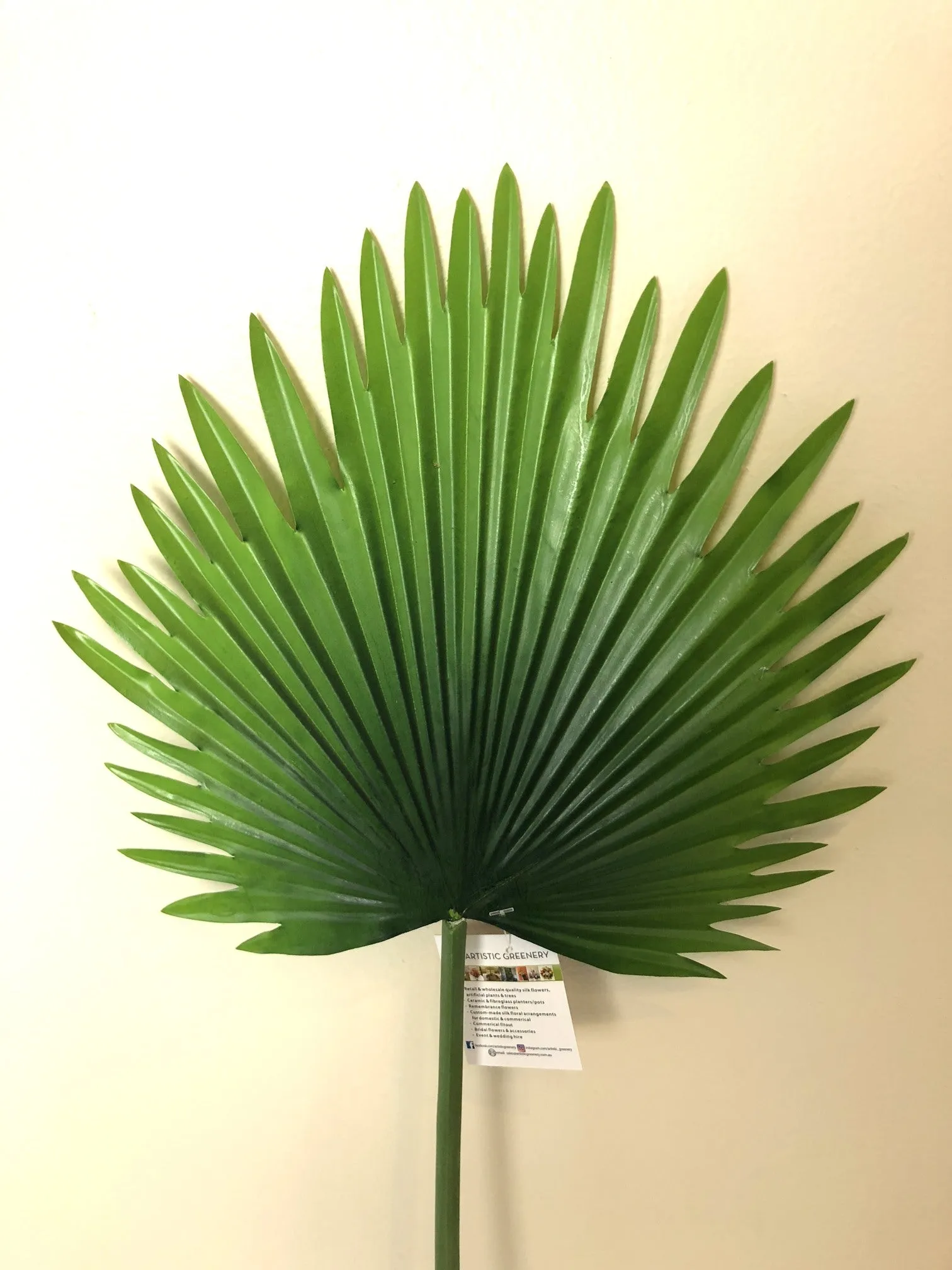 LEA0036 & LEA0062 Fan Palm Single Leaf Real Touch 2 Styles