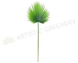 LEA0036 & LEA0062 Fan Palm Single Leaf Real Touch 2 Styles dried green plant  