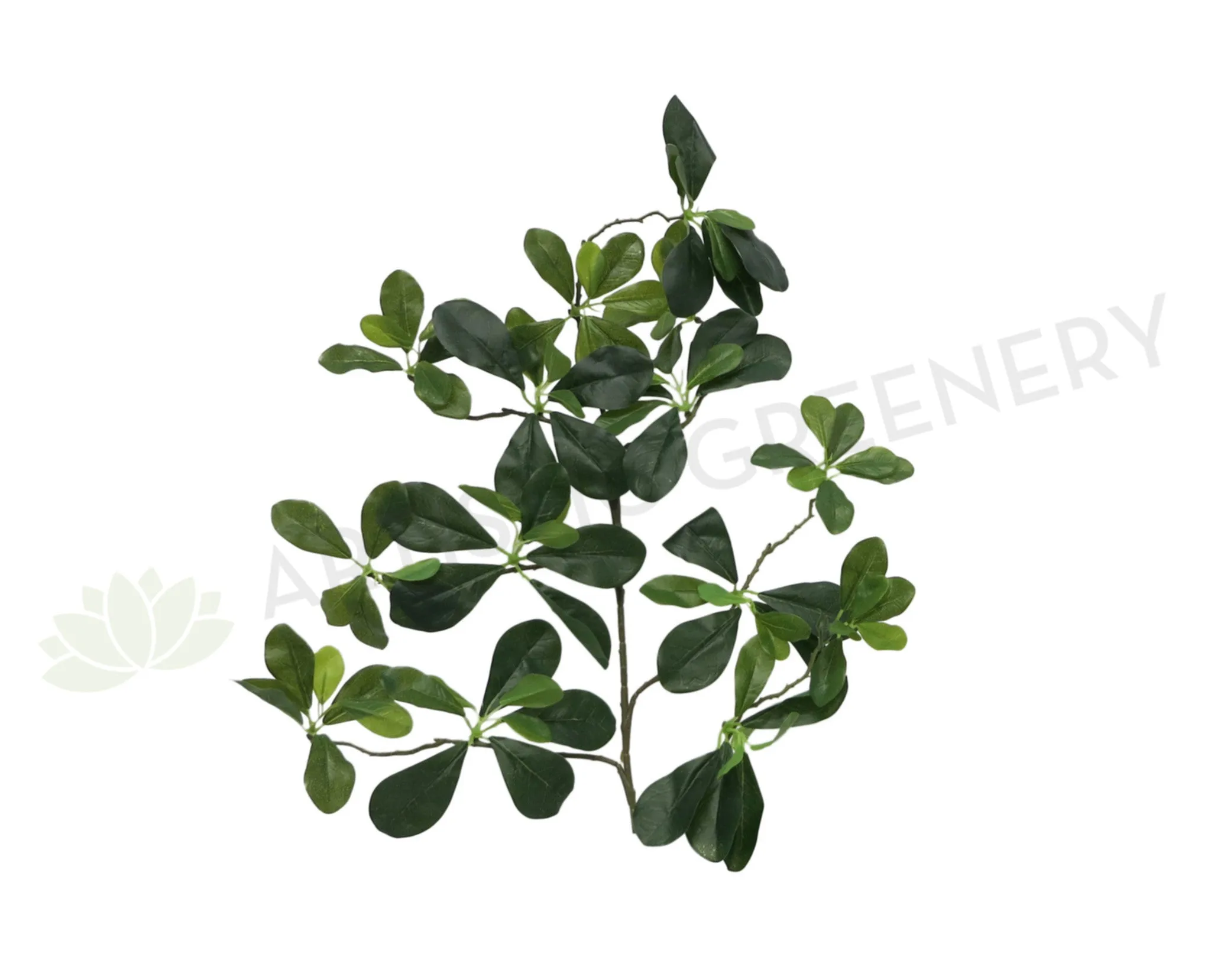 LEA0037 Schefflera Leaves Real Touch 68cm dried green plant  