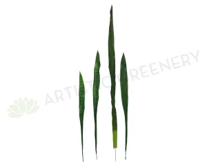 LEA0042 Snake Plant Single Leaf & LEA0041 Flax Single Leaf dried green plant  