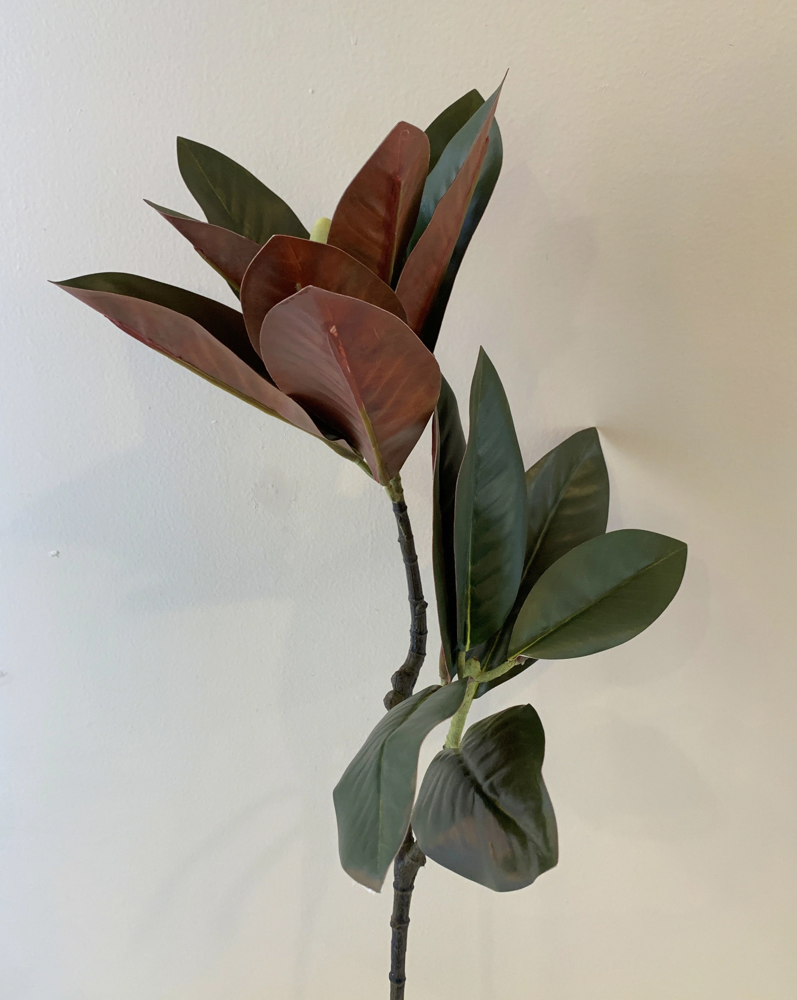 LEA0046 Magnolia Foilage / Leave 88cm 2 Sizes