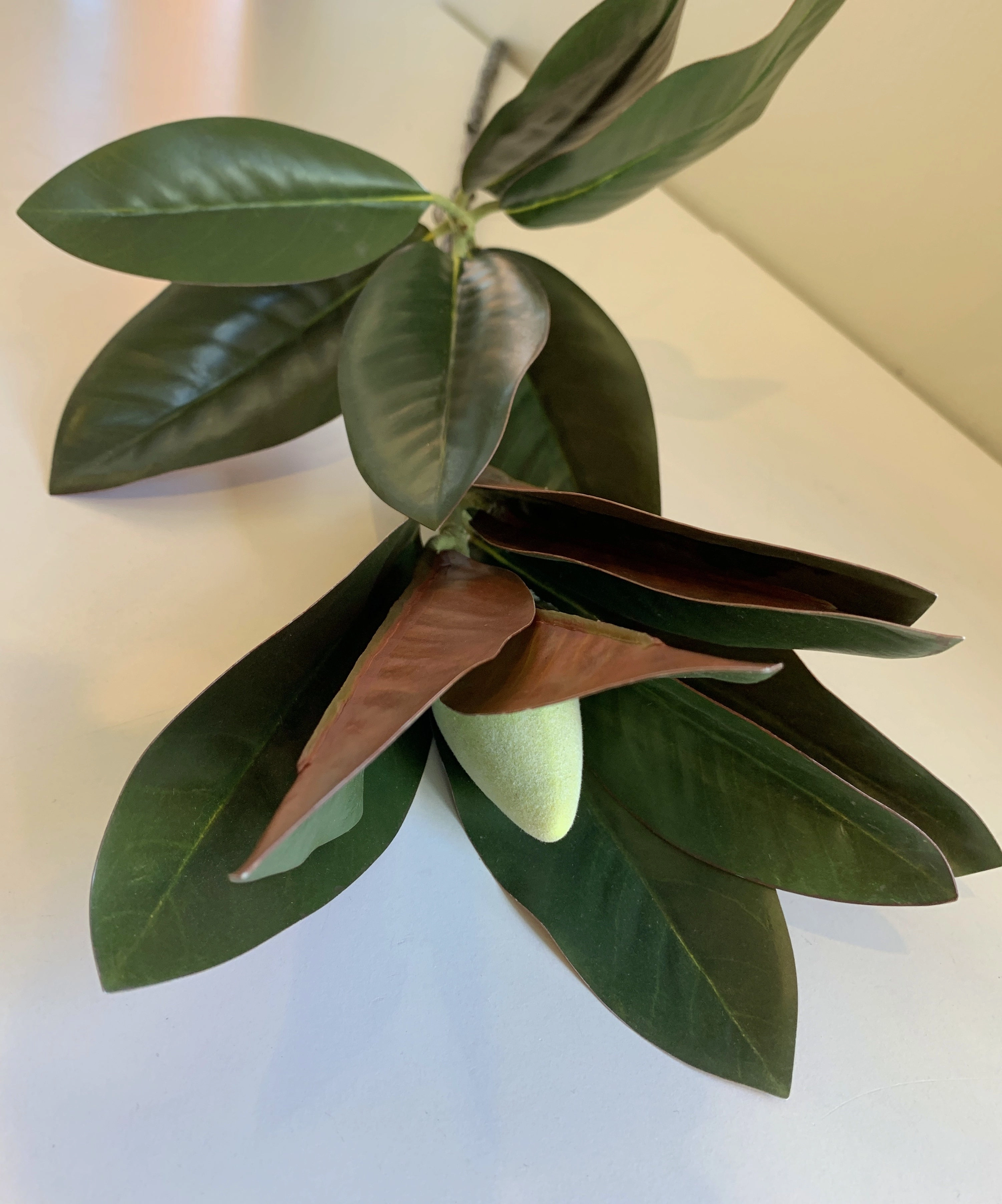 LEA0046 Magnolia Foilage / Leave 88cm 2 Sizes