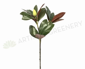 LEA0046 Magnolia Foilage / Leave 88cm 2 Sizes xl flower pot  