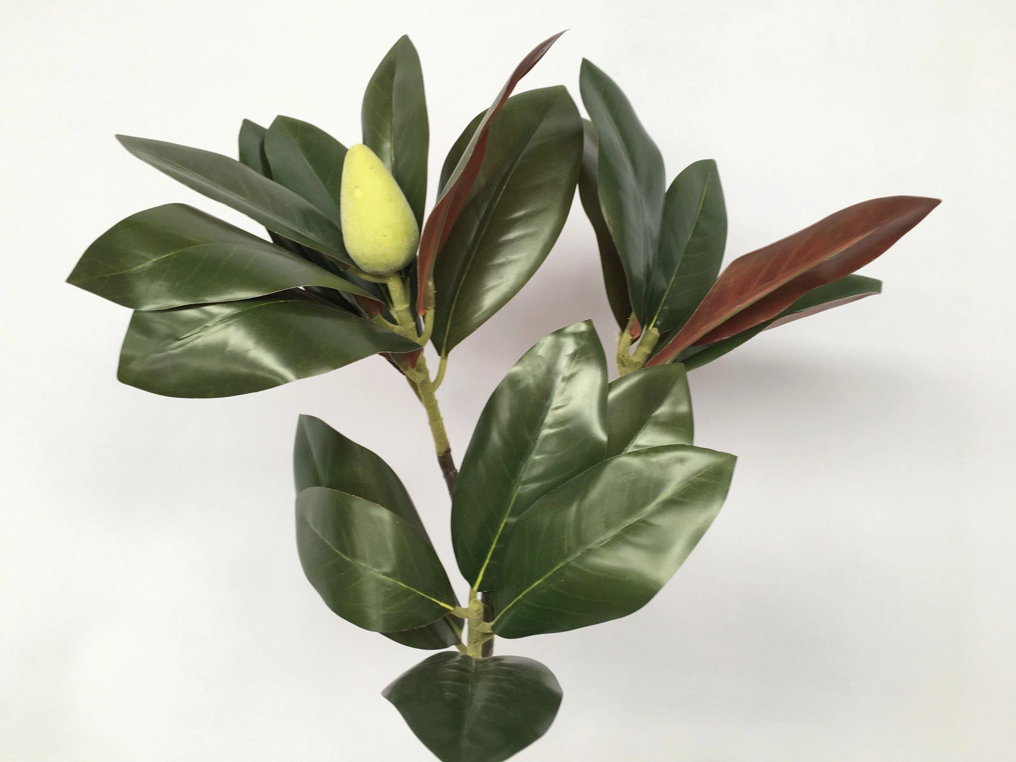 LEA0046 Magnolia Foilage / Leave 88cm 2 Sizes