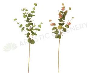 LEA0047 Eucalyptus Foliage 3 Styles (Spring & Autumn) dried green plant  