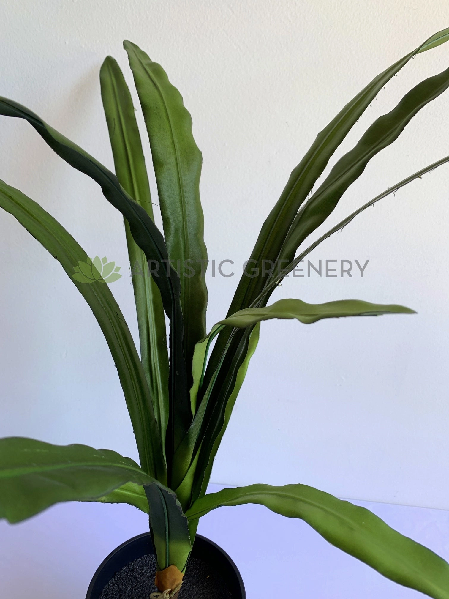 LEA0051 Cymbidium Orchid Leaves Bunch 89cm Real Touch