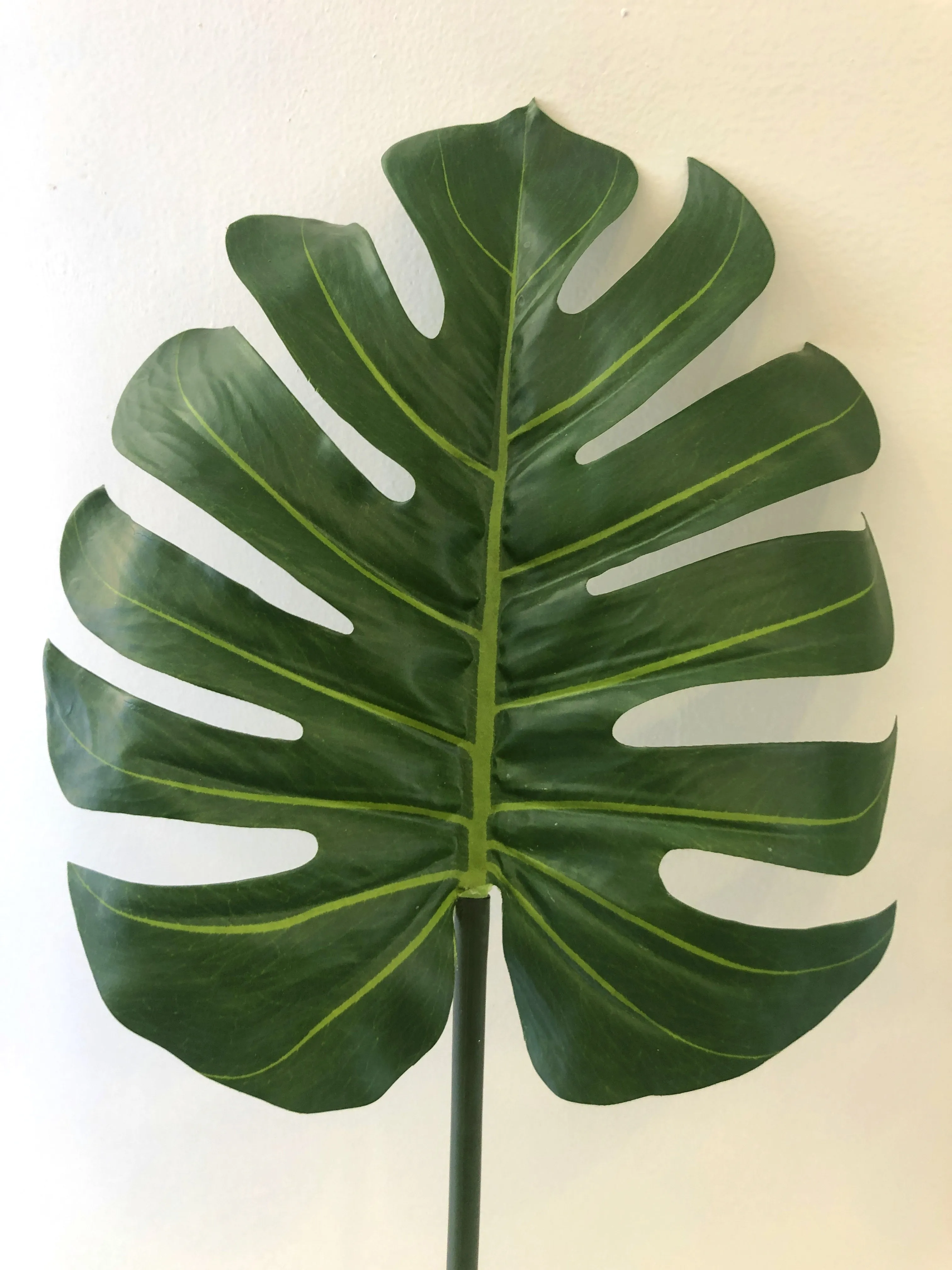 LEA0052 Monstera / Split Philo / Swiss Cheese Plant Single Leaf( Real Touch Quality) 3 Sizes