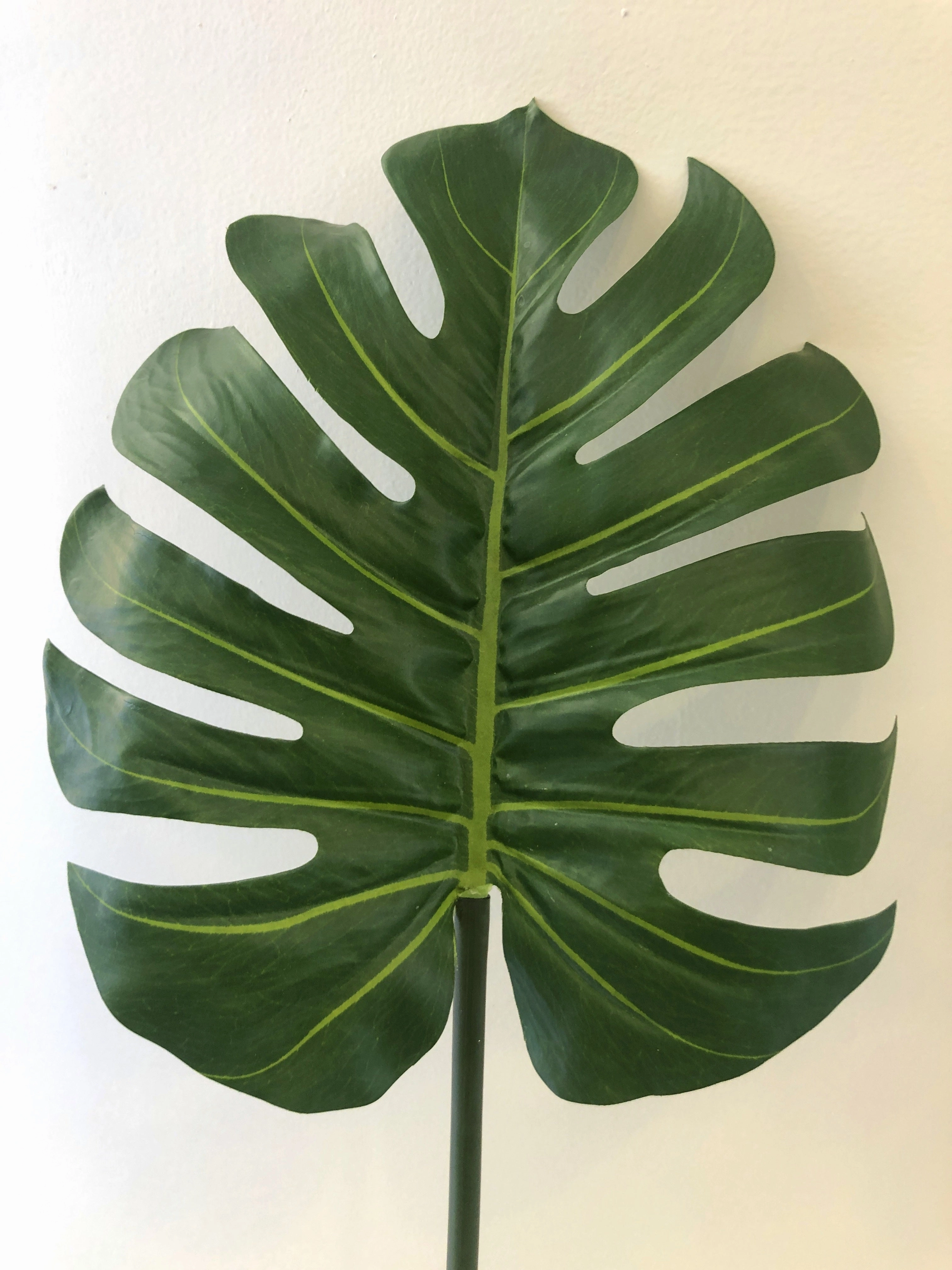 LEA0052 Monstera / Split Philo / Swiss Cheese Plant Single Leaf( Real Touch Quality) 3 Sizes