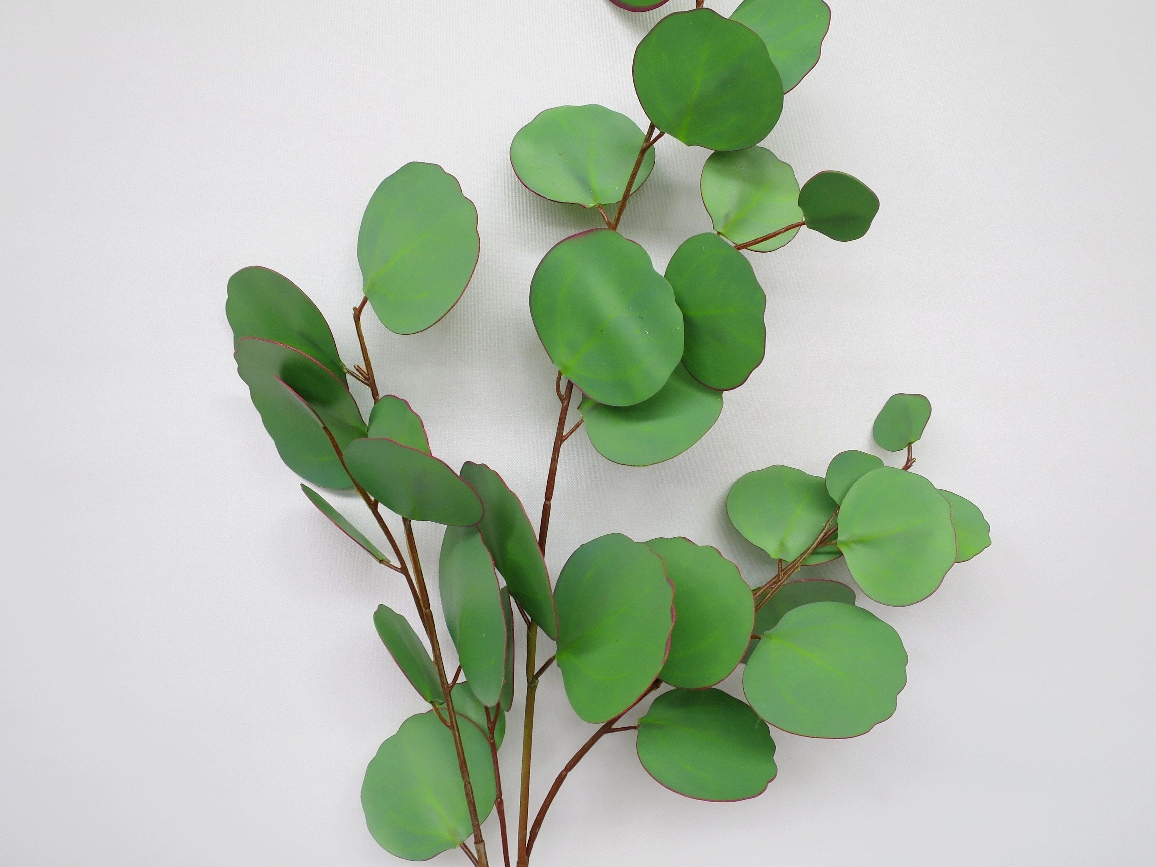 LEA0055 Silver Dollar Eucalyptus Spray 86cm Real Touch