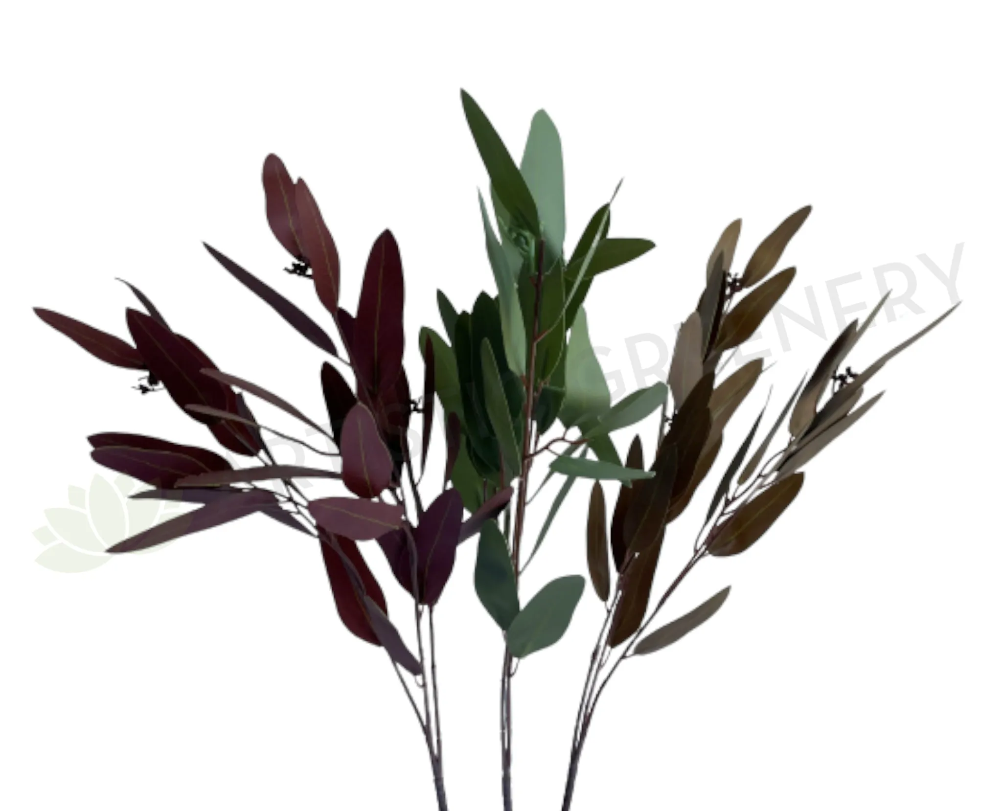LEA0056 Gum Leaf / Eucalyptus Spray 3 Colours dried green plant  
