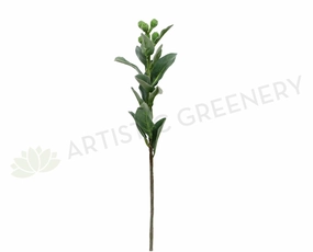 LEA0057 Tetragona Nut Spray 72cm indoor plant stand  