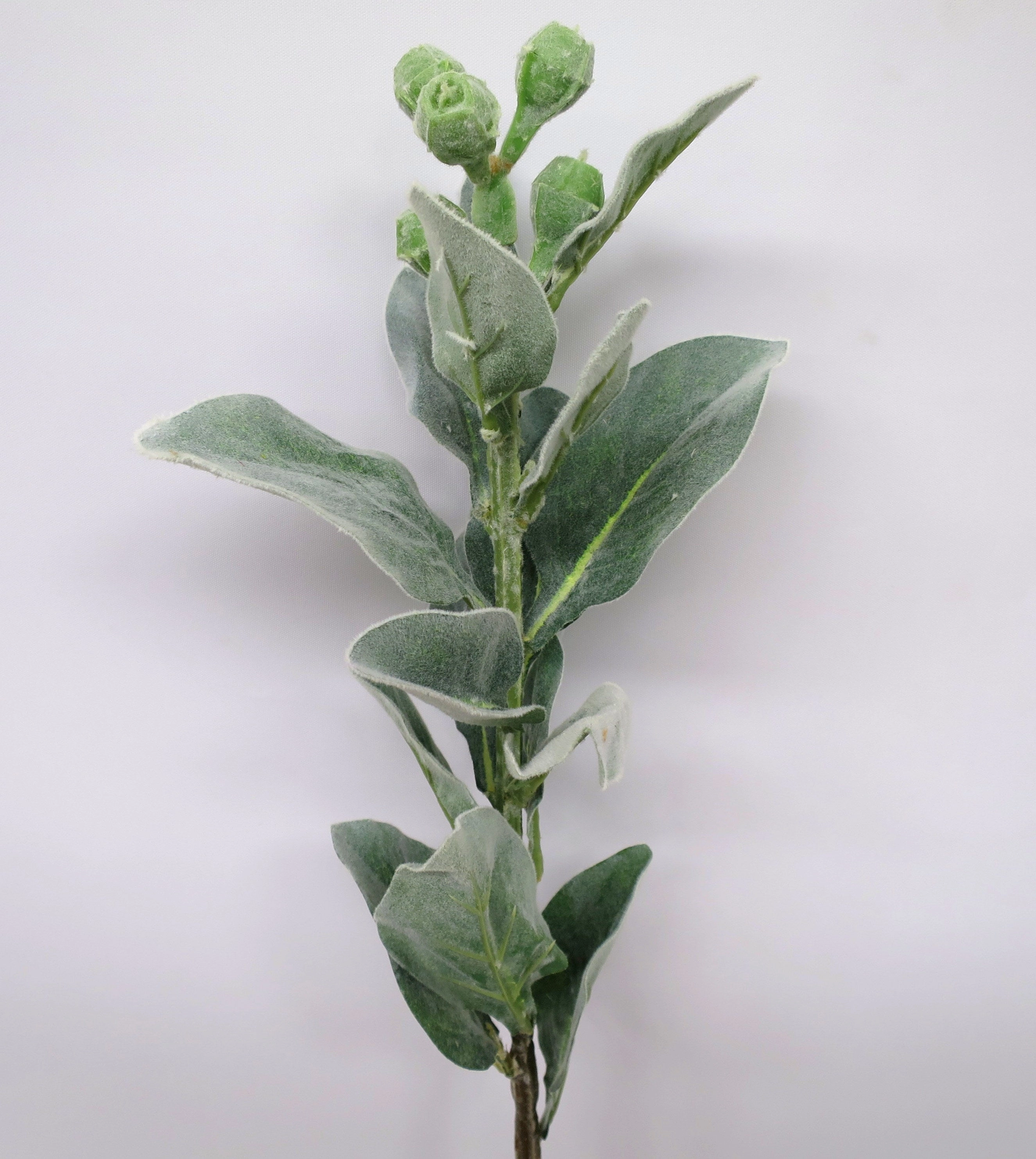 LEA0057 Tetragona Nut Spray 72cm