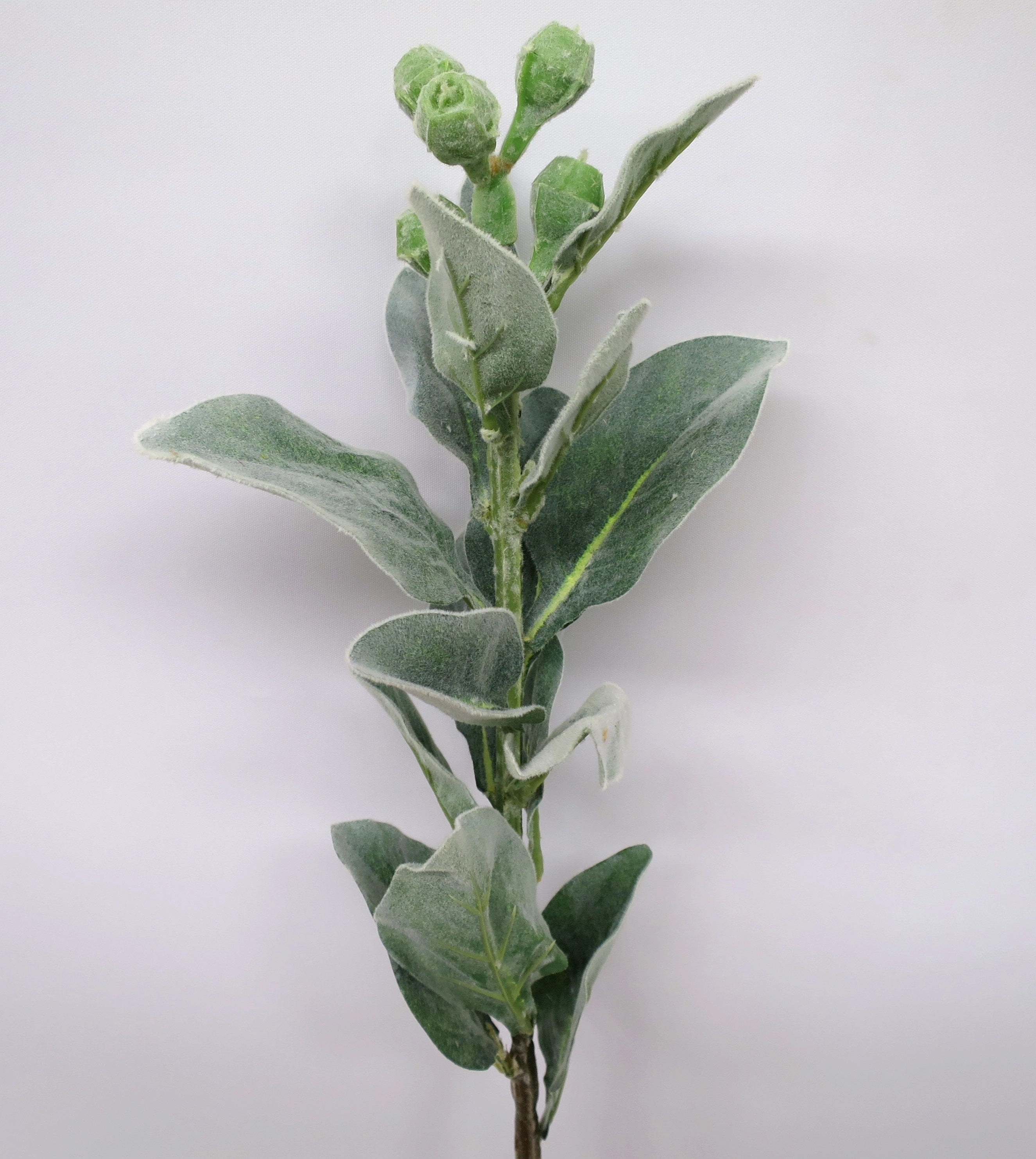 LEA0057 Tetragona Nut Spray 72cm