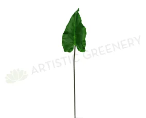 LEA0061 Calla Lily / Elephant Ear Single Leaf 2 sizes dried green plant  
