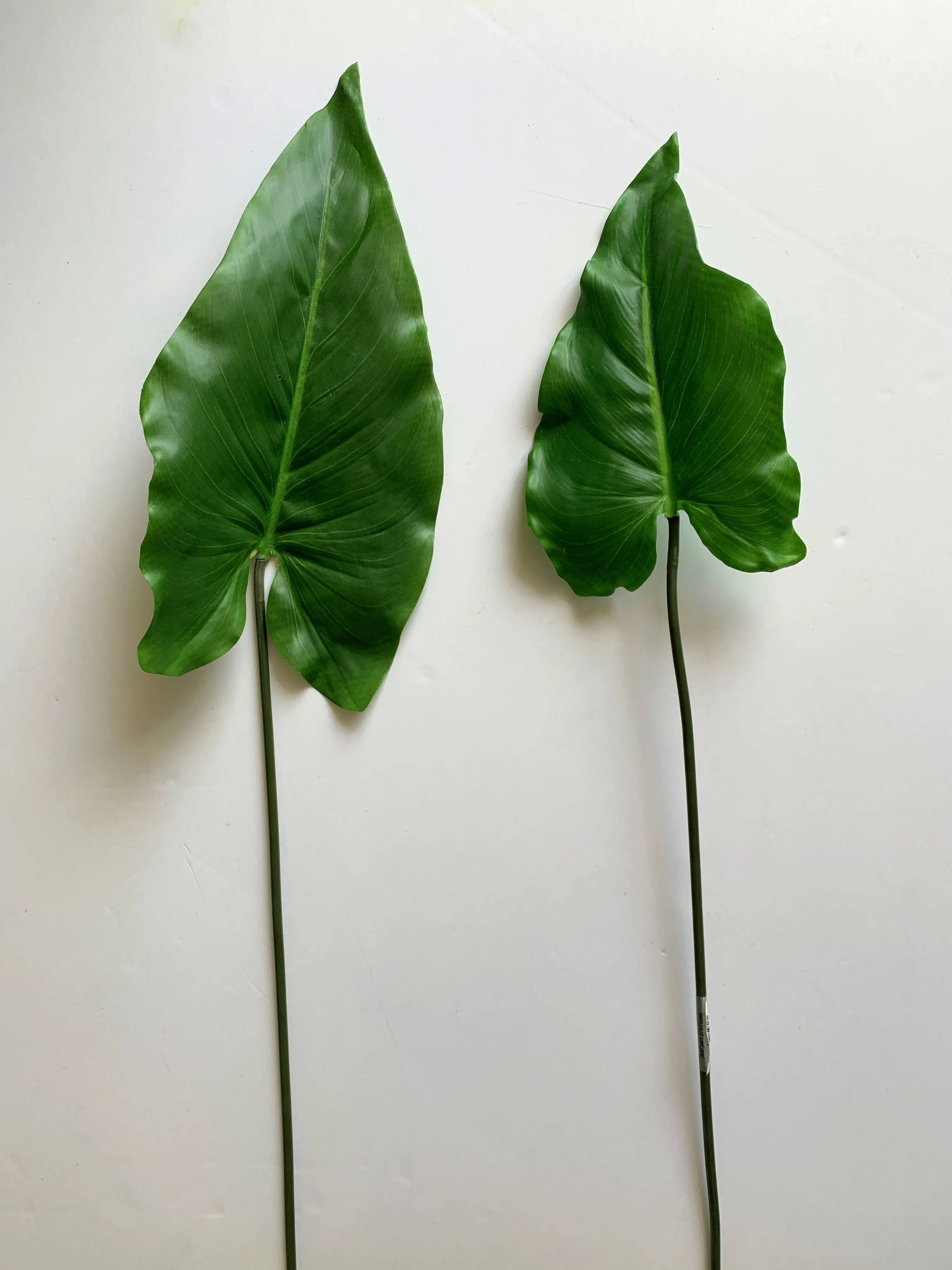 LEA0061 Calla Lily / Elephant Ear Single Leaf 2 sizes