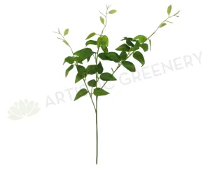 LEA0065 Evergreen Spray 62cm dried green plant  