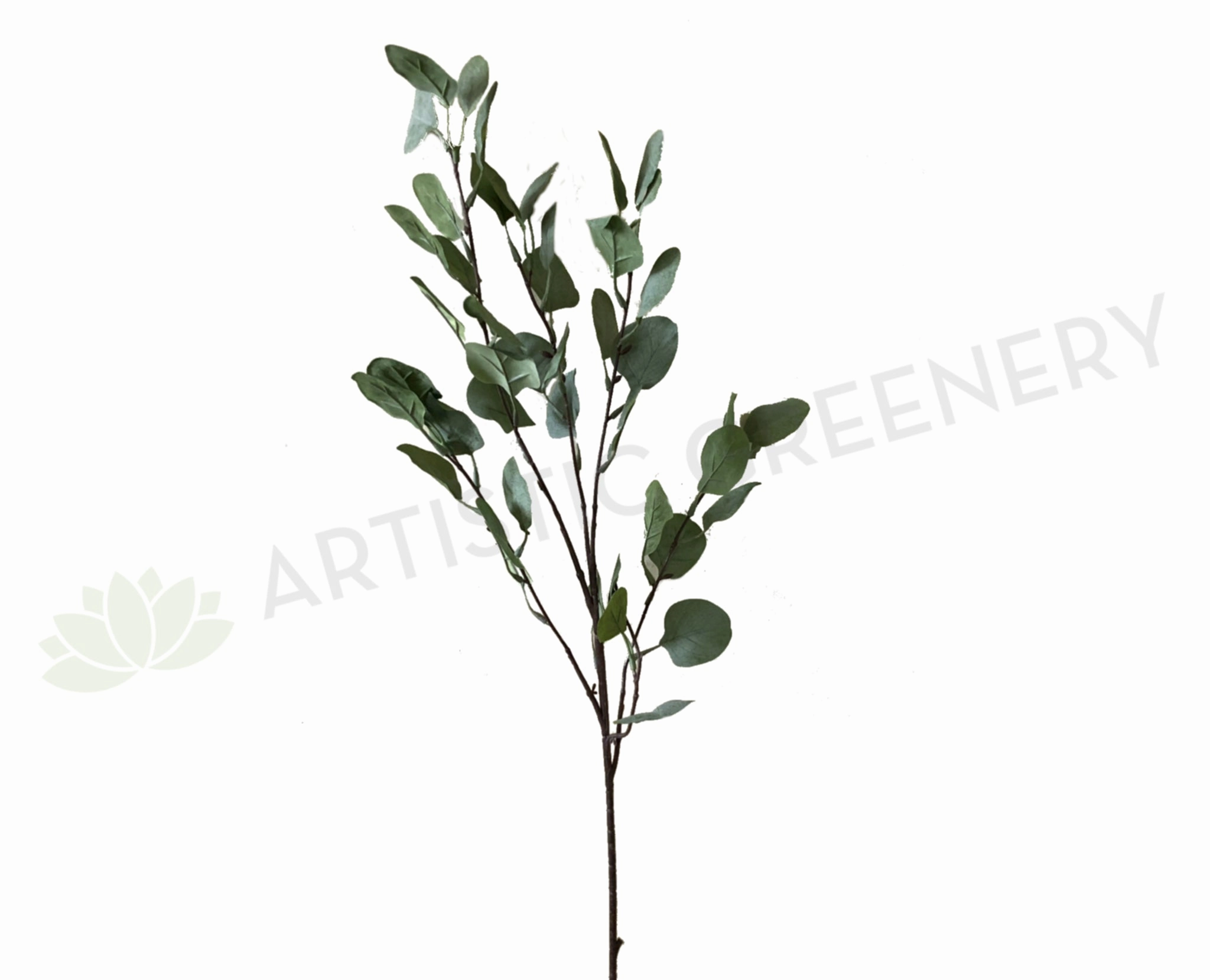 LEA0066 Silver Dollar Eucalyptus Spray 90cm xl flower pot  