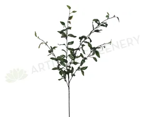 LEA0069 Wandering Jew Spray 90cm dried green plant  