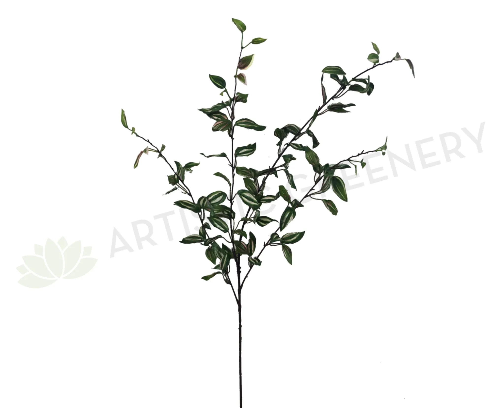 LEA0069 Wandering Jew Spray 90cm dried green plant  