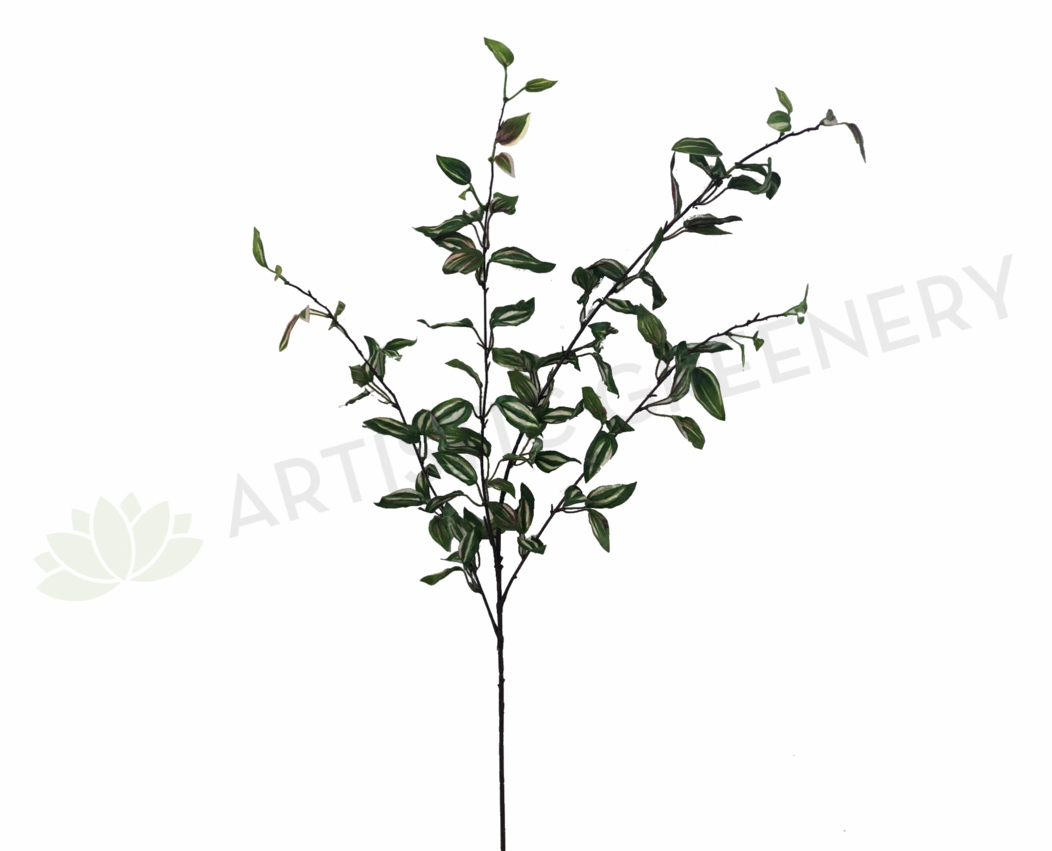 LEA0069 Wandering Jew Spray 90cm xl flower pot  