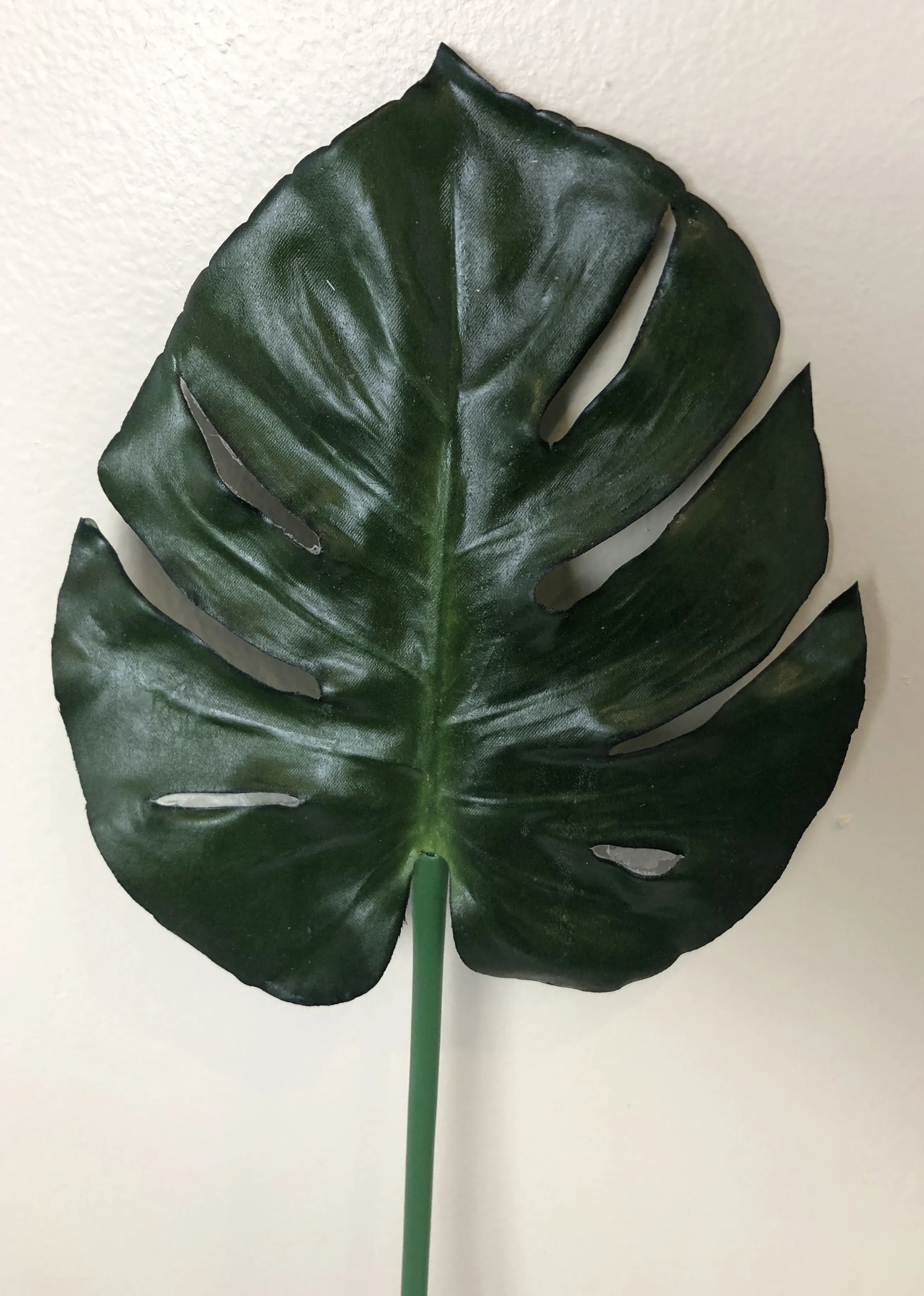 LEA0071 Monstera / Swiss Cheese Plant Single Leaf 72cm CLEARANCE STOCK