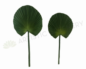 LEA0072 Licuala Grandis Ruffled Fan Palm (Single Leaf) Real Touch Quality 2 Sizes xl flower pot  