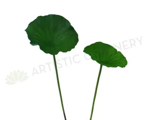LEA0073 Lotus / Water Lily Single Leaf( Real Touch Quality) 3 Sizes dried green plant  