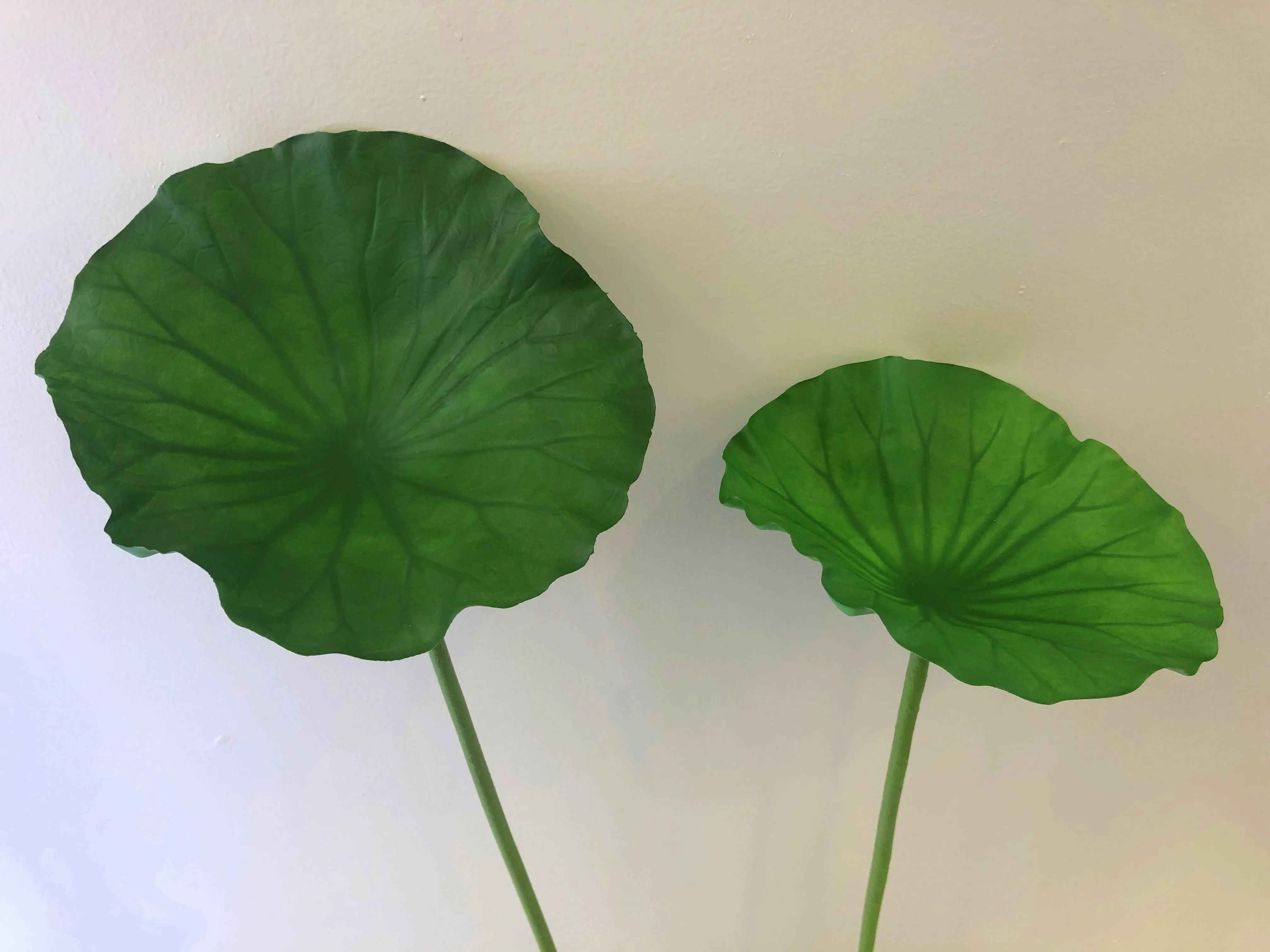 LEA0073 Lotus / Water Lily Single Leaf( Real Touch Quality) 3 Sizes