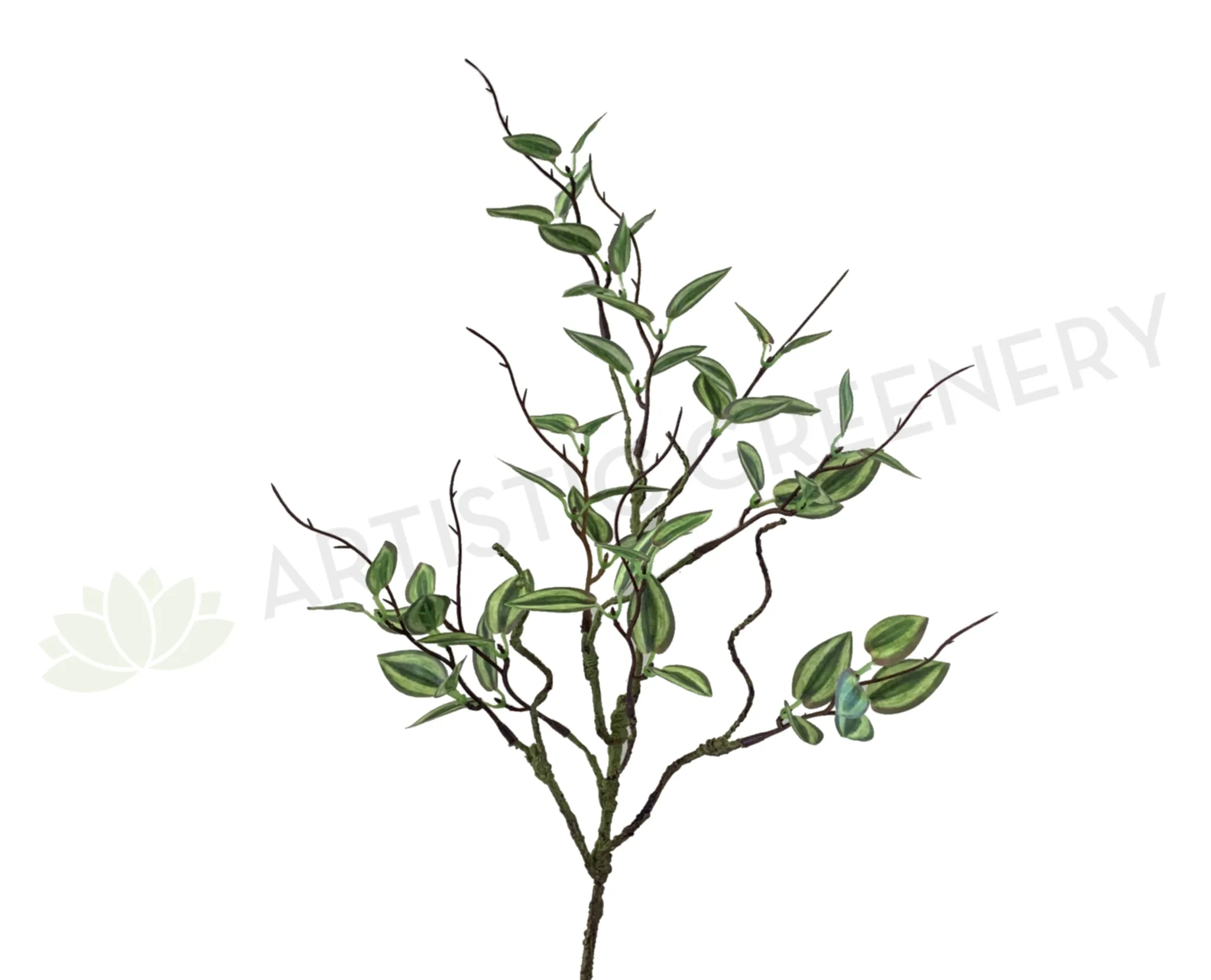 LEA0081 Mini Wandering Jew 58cm dried green plant  