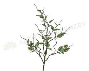 LEA0081 Mini Wandering Jew 58cm dried green plant  
