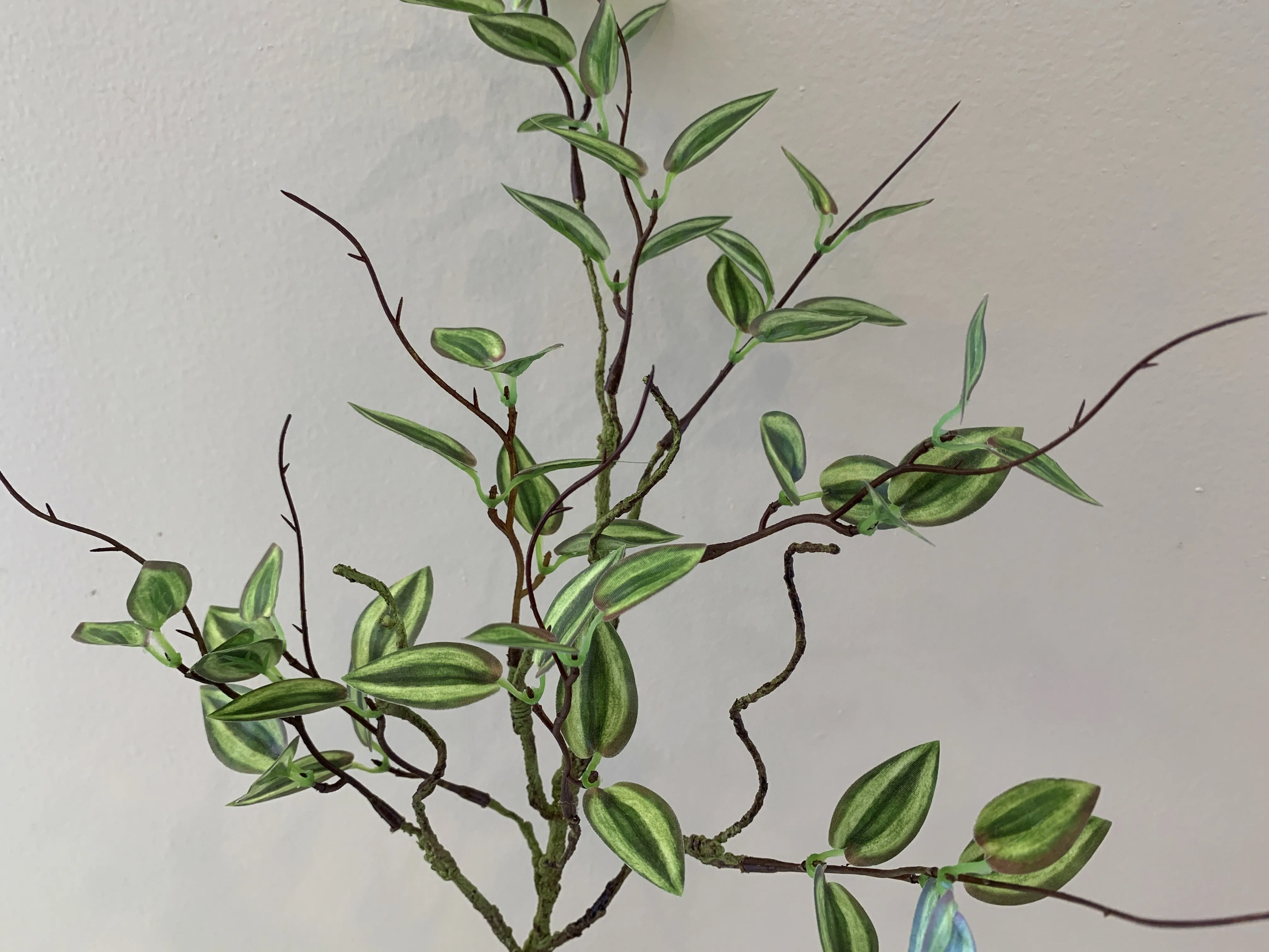 LEA0081 Mini Wandering Jew 58cm