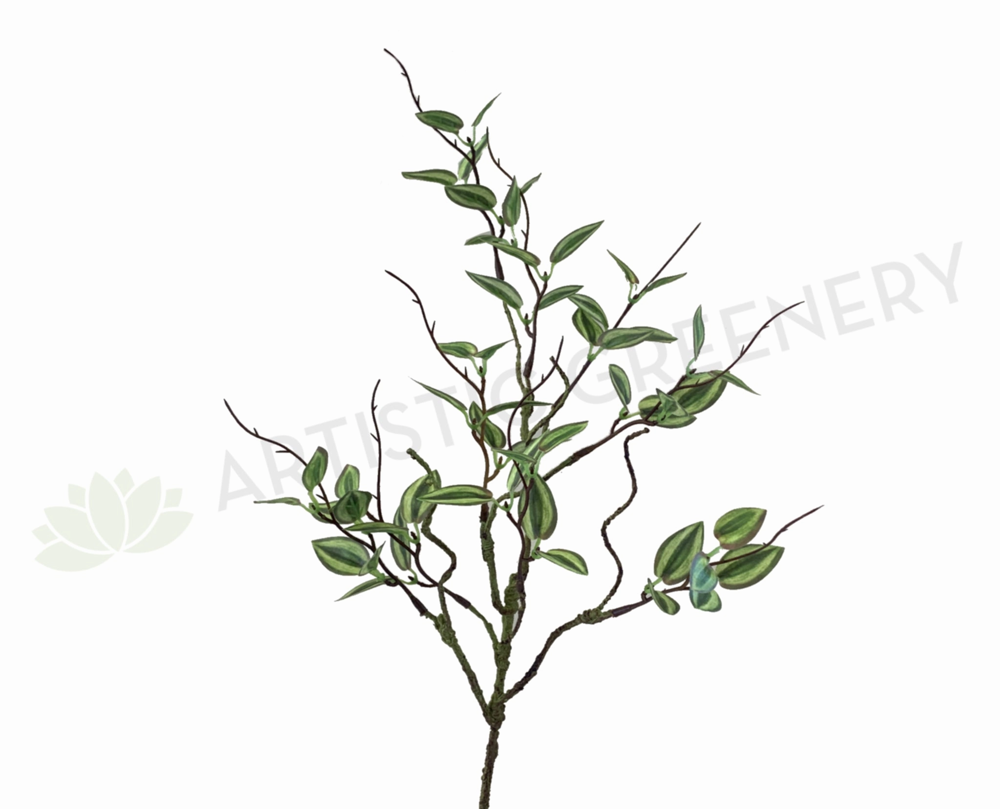 LEA0081 Mini Wandering Jew 58cm xl flower pot  
