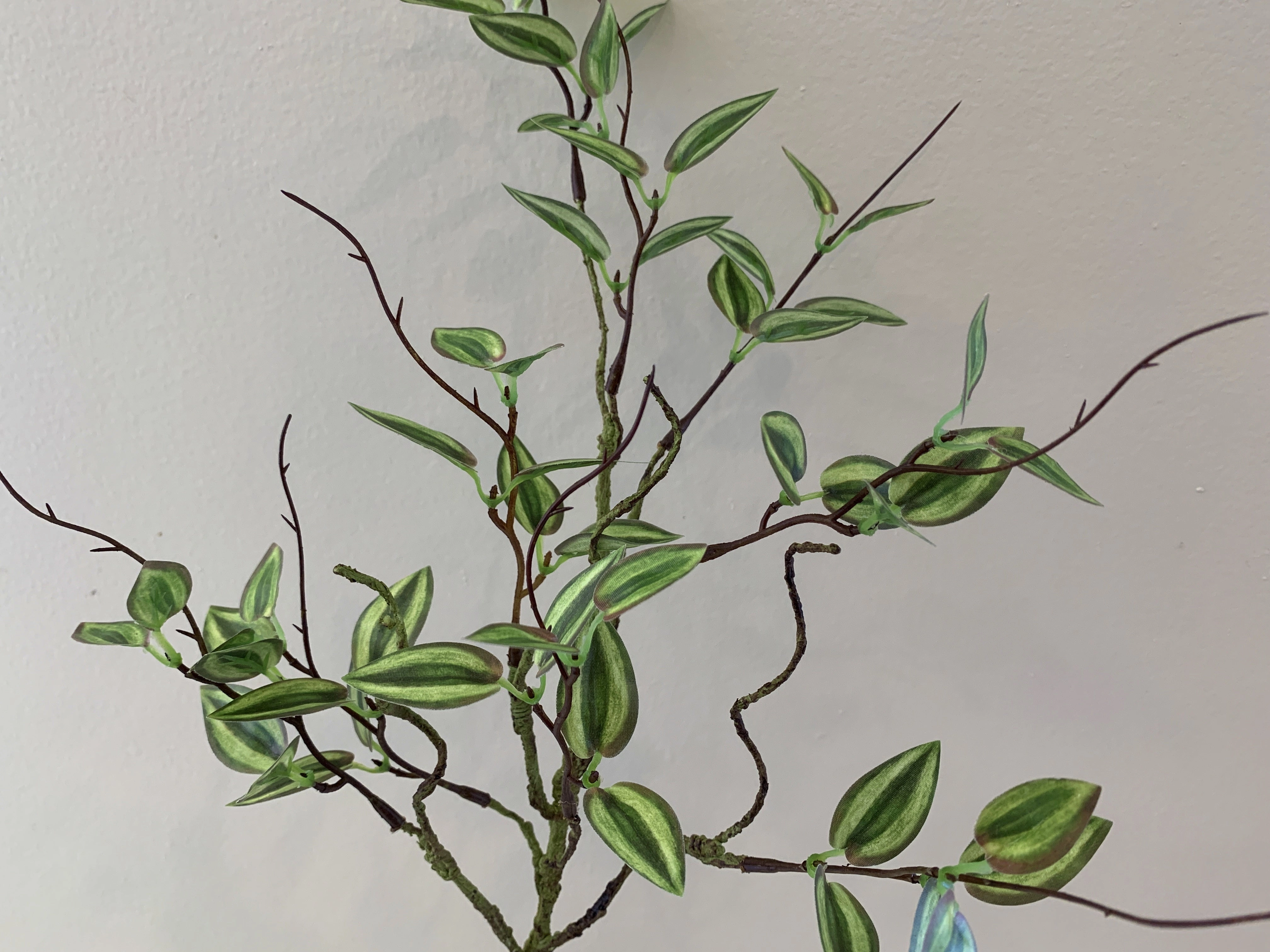 LEA0081 Mini Wandering Jew 58cm