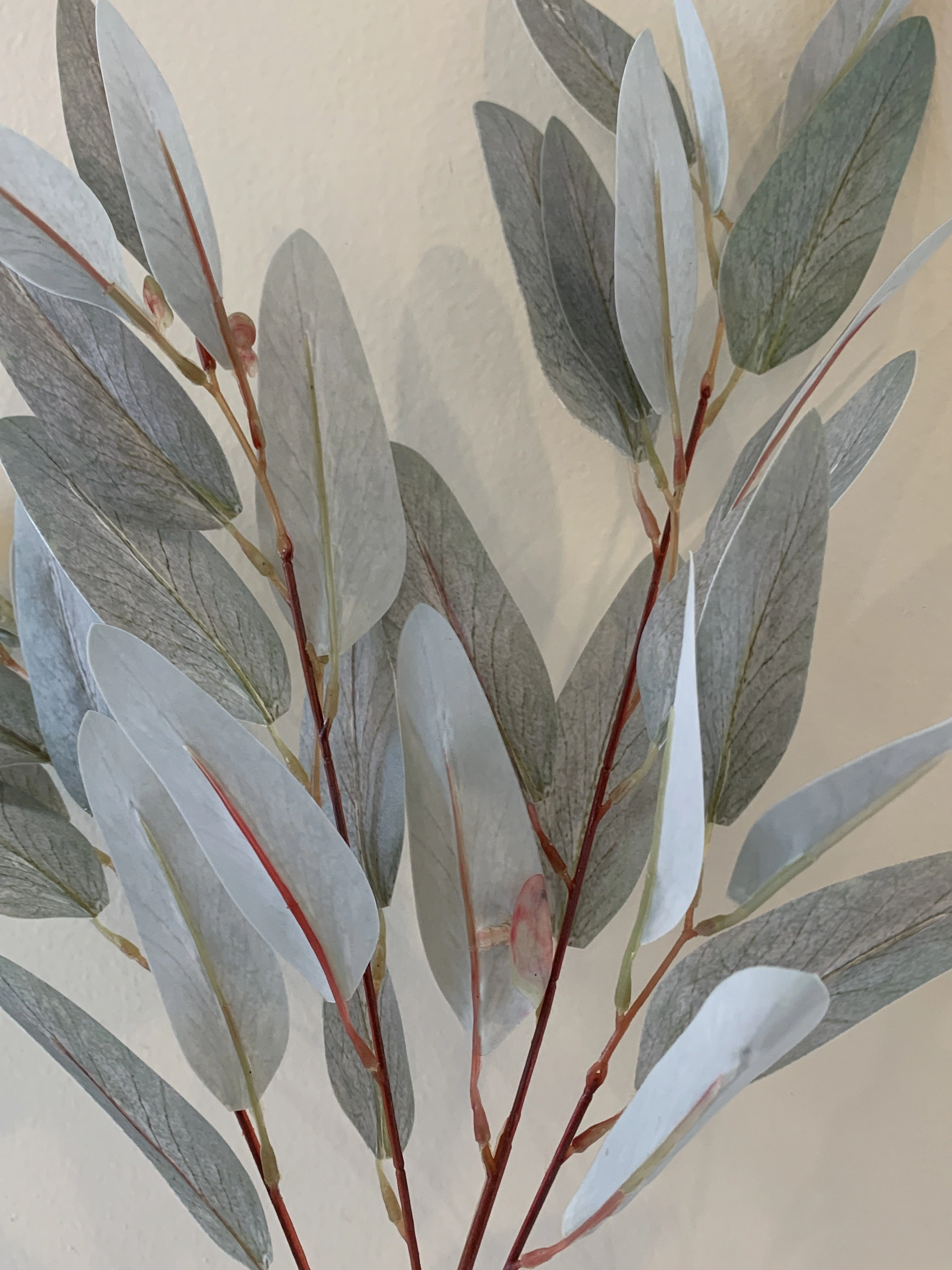 LEA0082 Gum Leaf / Eucalyptus Foliage 86cm Grey