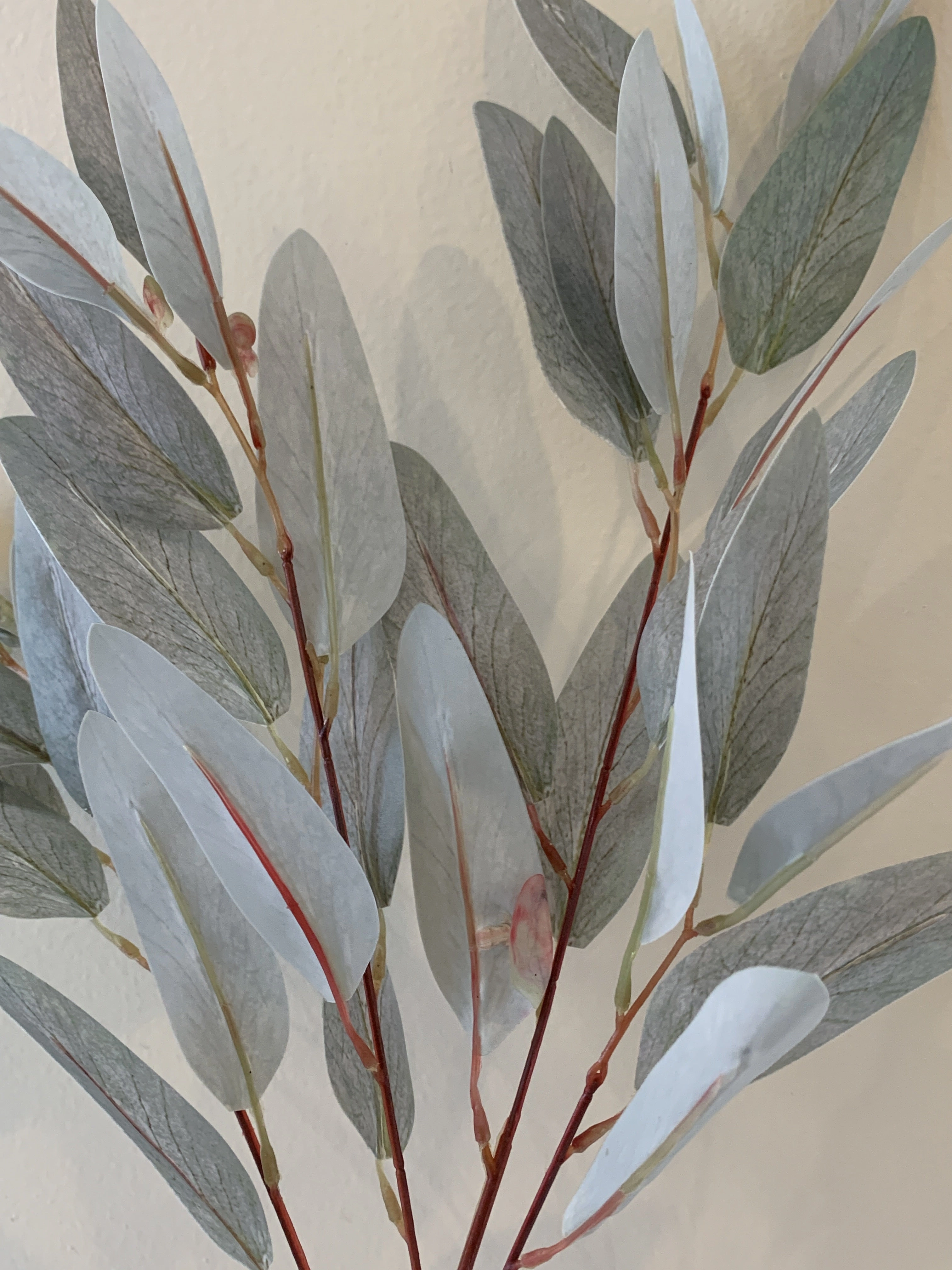 LEA0082 Gum Leaf / Eucalyptus Foliage 86cm Grey
