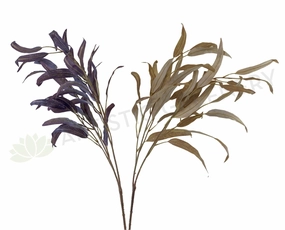 LEA0083 Gum Leaf / Eucalyptus Foliage 102cm Purple / Mustard xl flower pot  